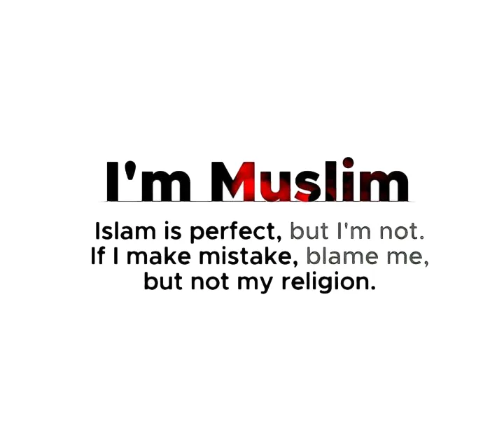i'm muslim... islam is perfect, but i'm not. if i make mistake, blame me, but not my religion