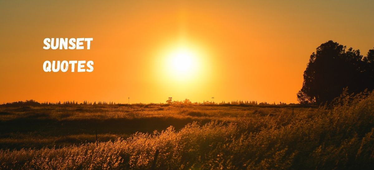 65 Short Sunset Quotes The Best Sunset Sayings 2024