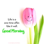 Life is a one time offer. Use it well. Good Morning