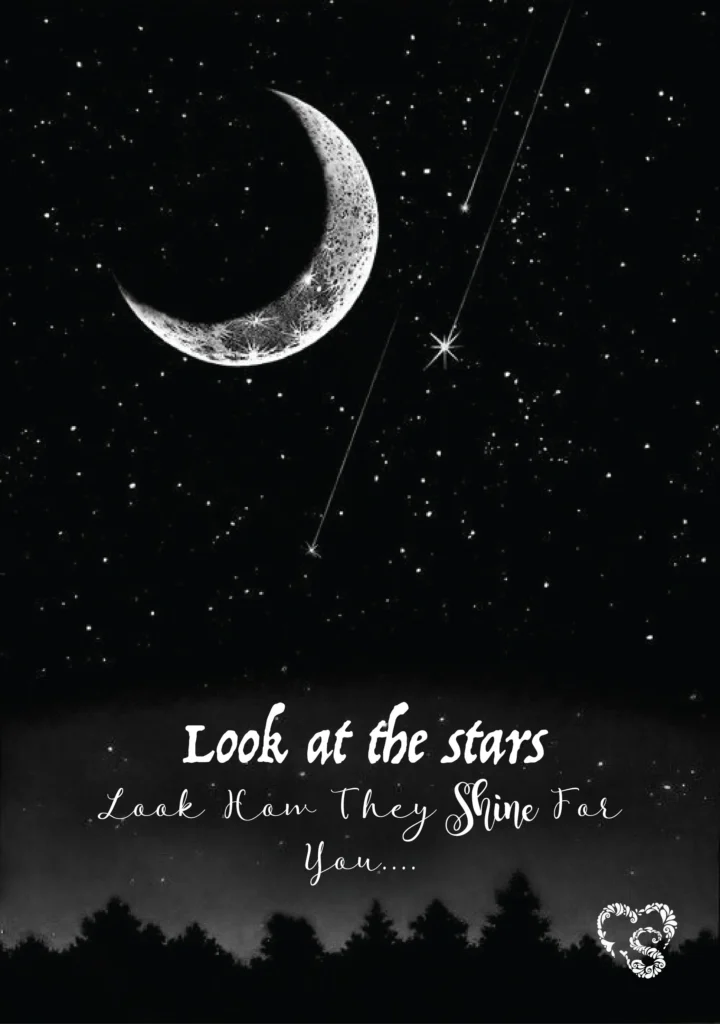 Moon and Stars Quotes