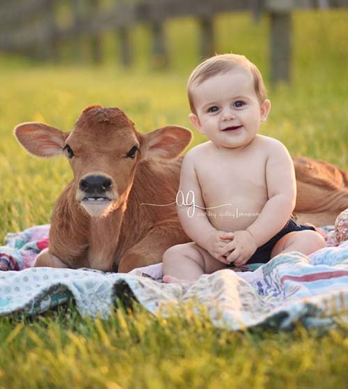 cute baby pic with animal 4