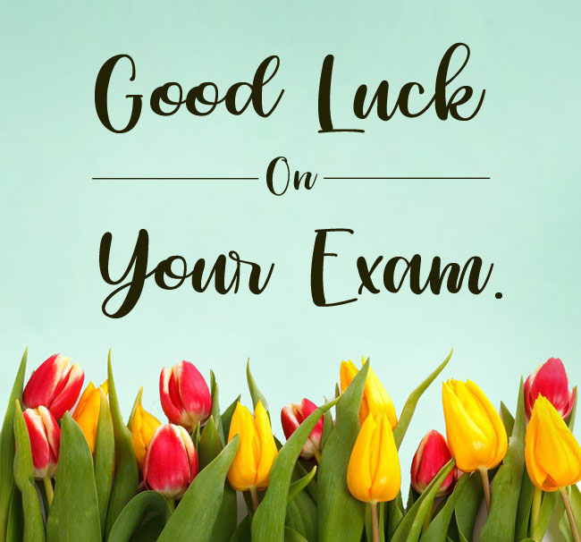 Good Luck Wishes For Exams - Best Of Luck Wishes For Exam - 2024