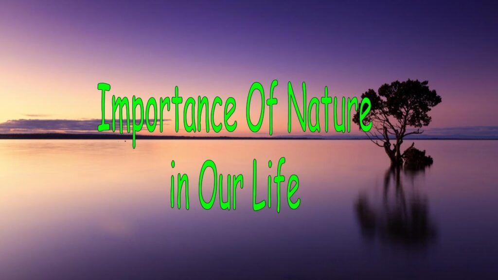 importance of nature in our life