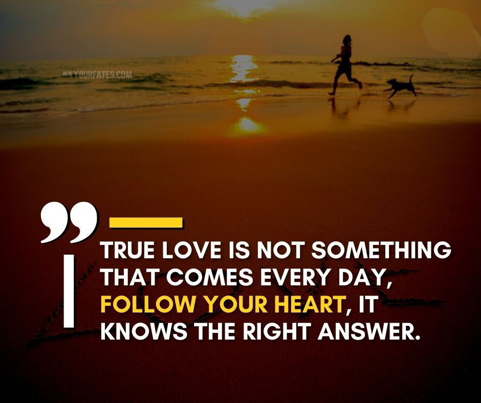 true love quotes 