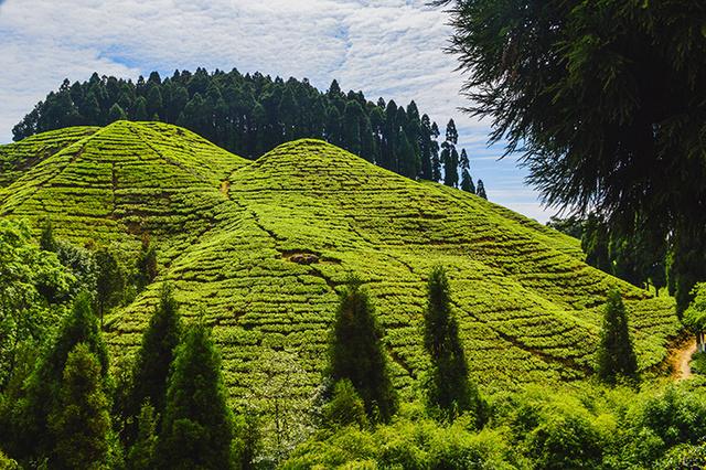 Captivating Hill Station Escapes Instagram worthy Quotes and Captions