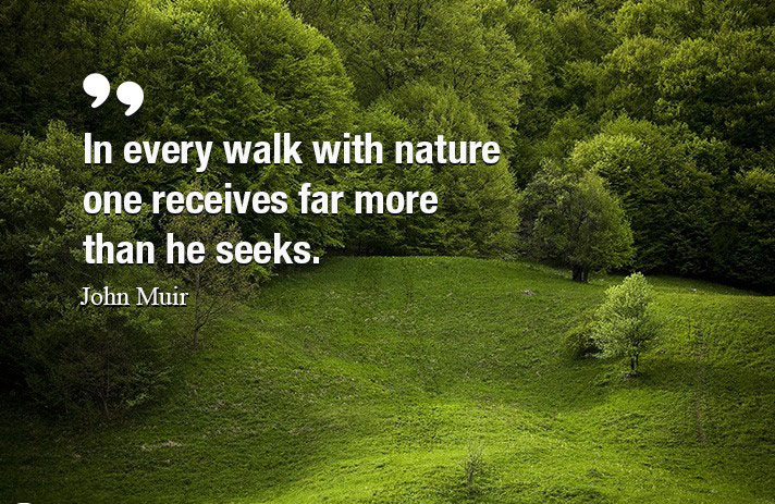 Nature Memories Quotes for Outdoor Enthusiasts