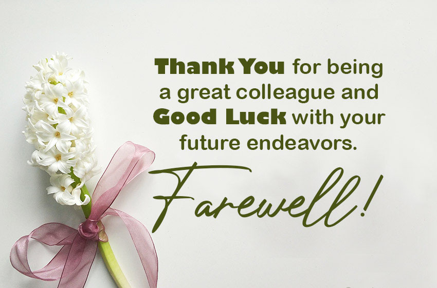Thank You Message for Colleague During Farewell