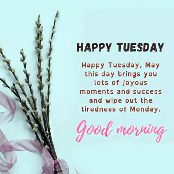 Happy Tuesday Happy Tuesday may this day brings you lots of joyous moments and sucess and wipe out the tiredness of Monday. Good Morning