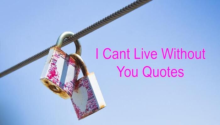 I Cant Live Without You Quotes for Him or Her