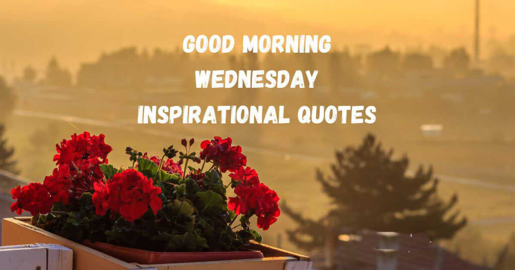 Uplifting Good Morning Wednesday Inspirational Quotes