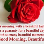 A morning with a beautiful lady is a guaranty for a beautiful day with so many beautiful moments. Good moring Beautiful