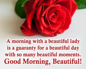 A morning with a beautiful lady is a guaranty for a beautiful day with so many beautiful moments. Good moring Beautiful A morning with a beautiful lady is a guaranty for a beautiful day with so many beautiful moments. Good moring Beautiful