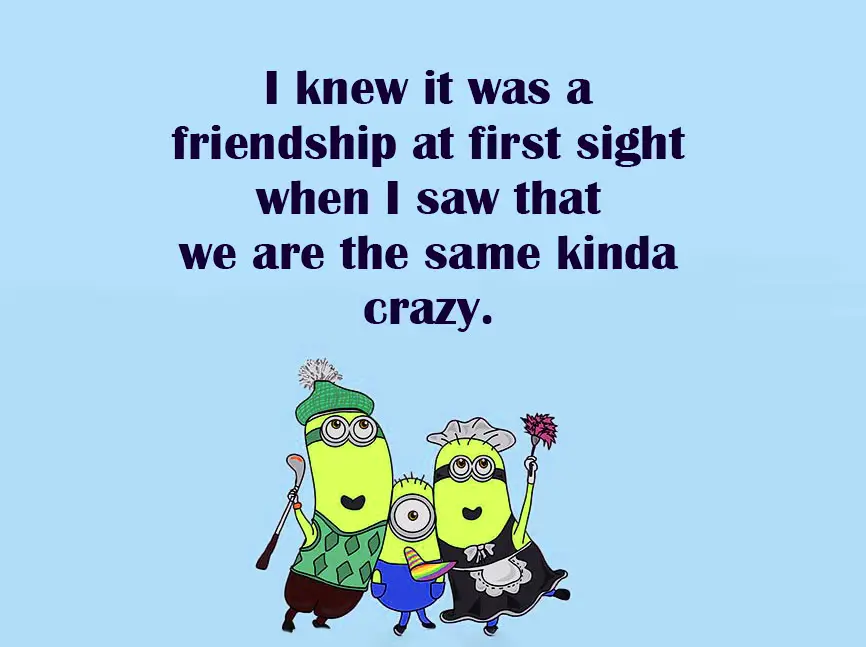 Funny Friendship Quotes I knew it was a friendship at first sight and when I saw that we are the same kinda crazy