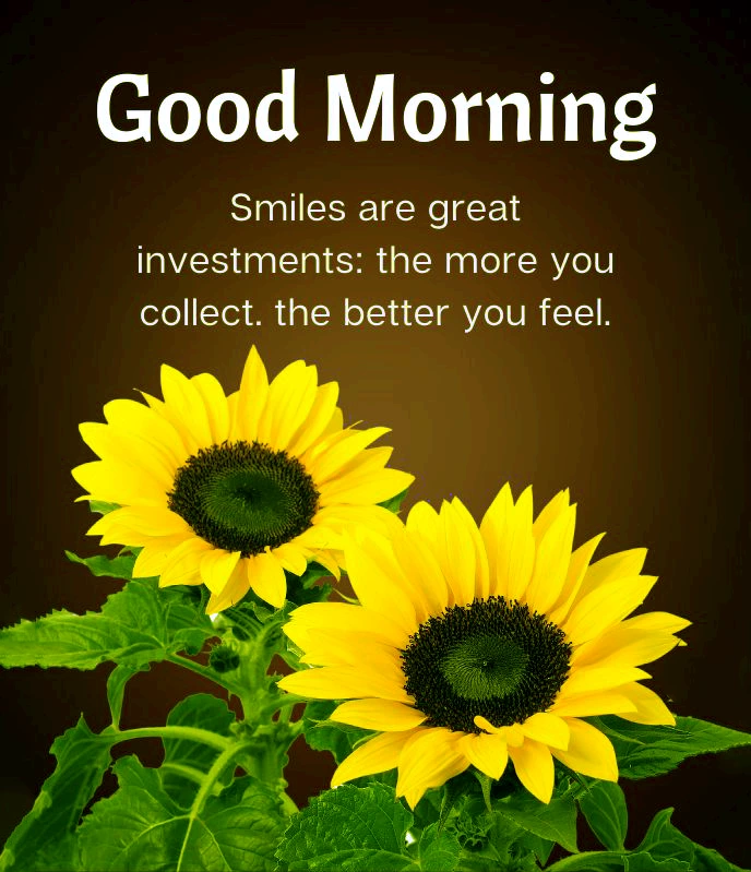 good morning new style Smiles are great investments. the more you collect. the better you feel