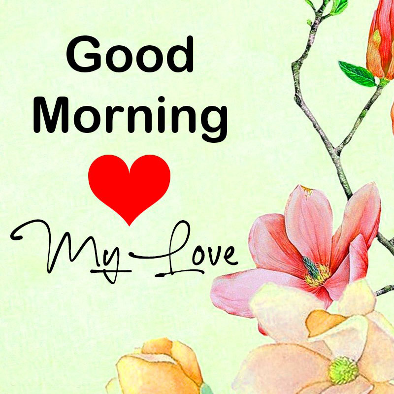 Best Good Morning Messages Wishes and Cards