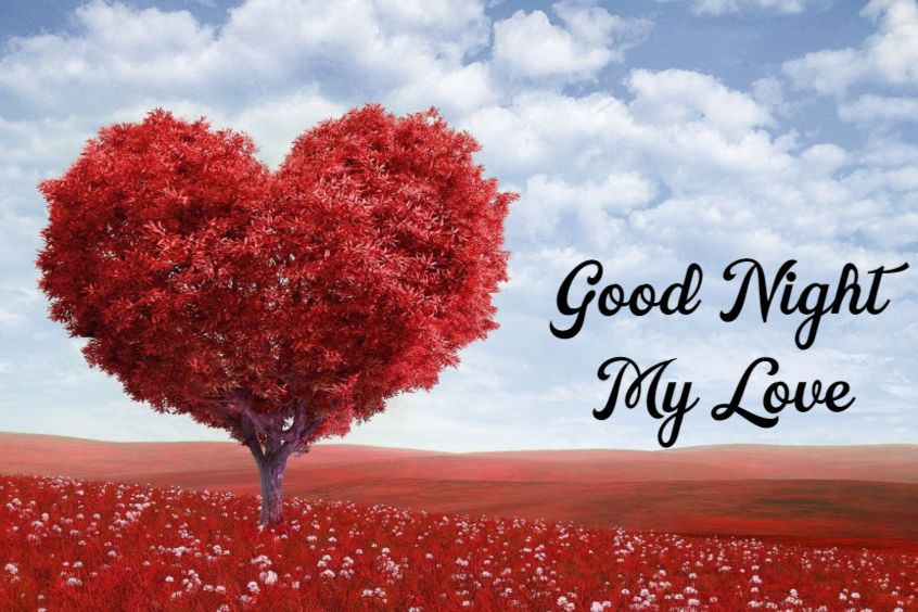 Good Night Love Messages with Wishes Greetings Pictures