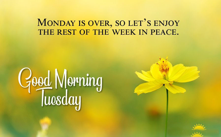 Happy Tuesday Morning Quotes with Images Tuesday Wishes Messages