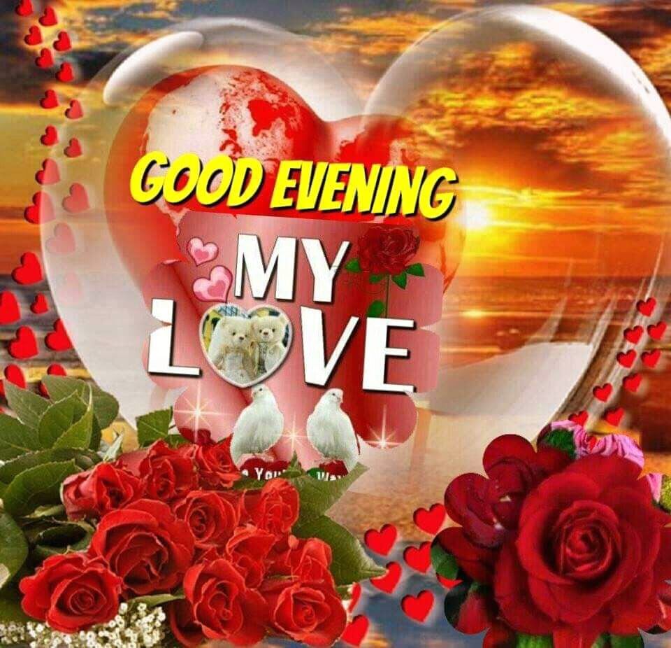 My Love Good Evening Pictures Photos and Images 1
