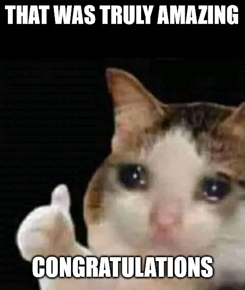 That was truly amazing crying thumbs up cat Congratulations meme