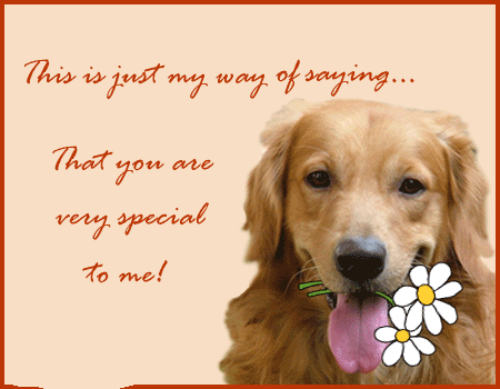 This Is Just My Way Of Saying That You Are Very Special To Me Cute Dog Animated Picture