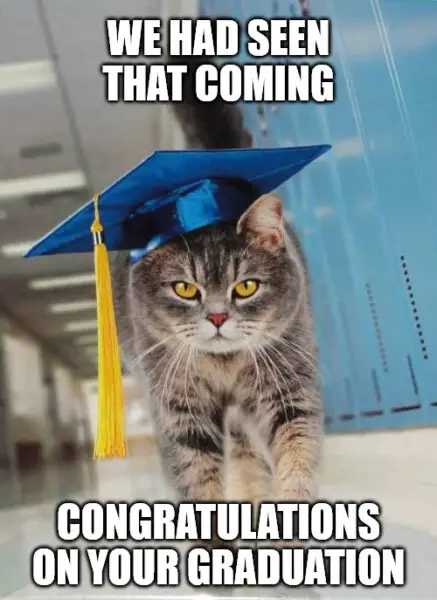 We had seen that coming Congratulations on your graduation Graduation kitty congratulations meme
