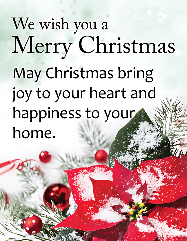 We wish you a merry Christmas! May Christmas bring joy to your heart and happiness to your home.