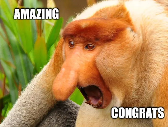 amazing Janusz monkey screaming Congratulations meme