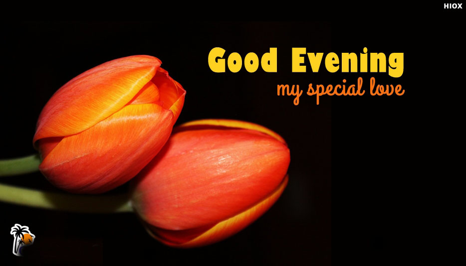 good evening wishes for someone