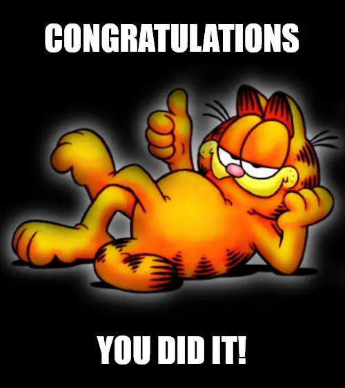 you did it Garfield thumbs up Congratulations meme