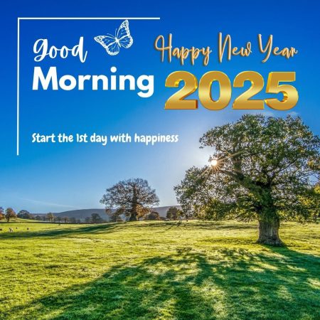 Good Morning Happy New Year 2025 Wishes Quotes And Images Blue Modern Sun Rise Good Morning Happy New Year 2025 450x450