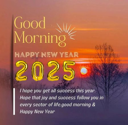 Good Morning Happy New Year 2025 Wishes Quotes And Images First Good Morning Of 2025 Happy New Year Wish You Get All The Success This Year. Hope That Joy And Success Follow You In Every Sector Of Life 450x441 