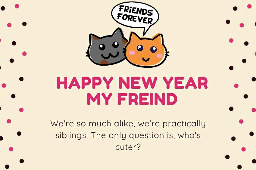 HAPPY NEW YEAR MY FREIND Were so much alike were practically siblings The only question is whos cuter