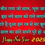 Happy New Year 2025 Wishes In Hindi images