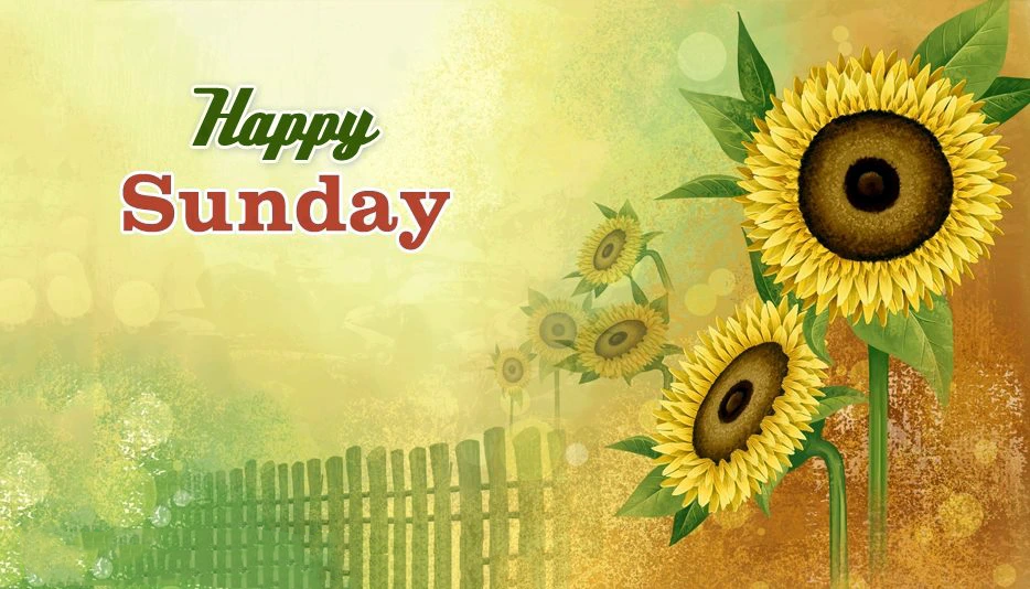 Happy Sunday image with sunflower background