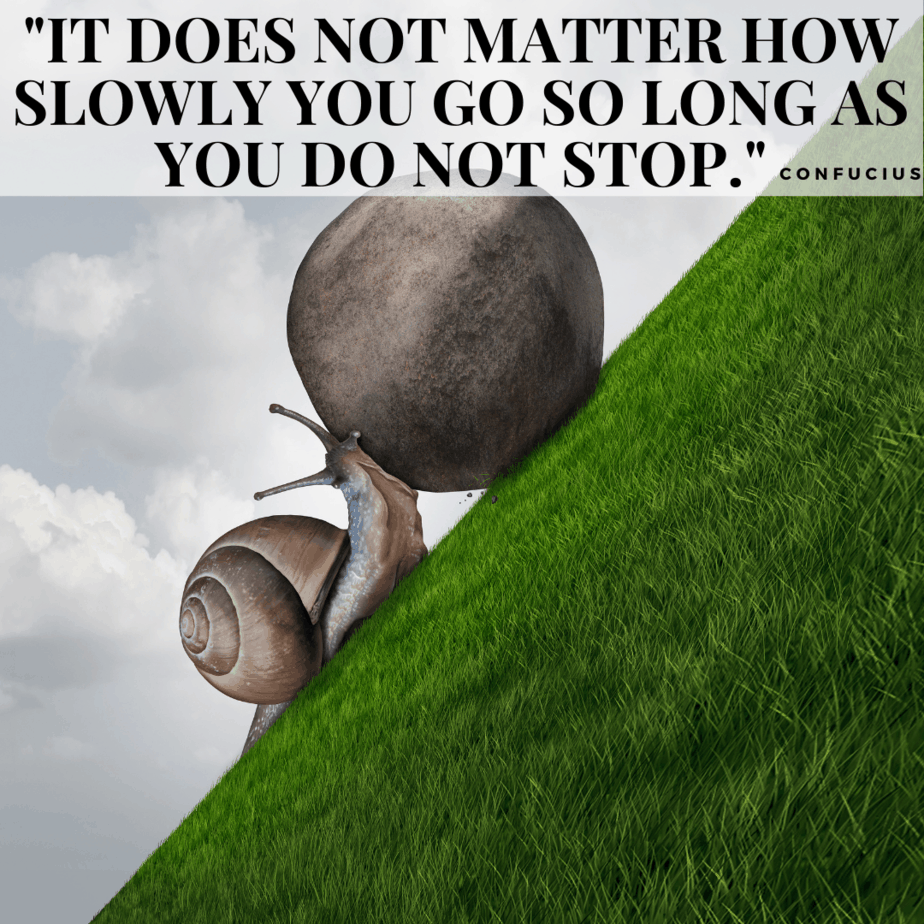 It does not matter how slowly you go so long as you do not stop. Confucius