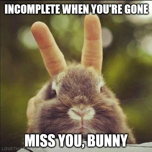 Miss You Bunny Meme