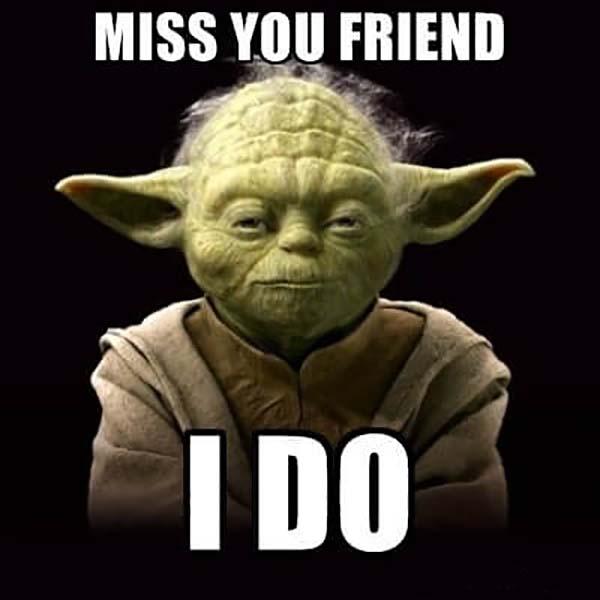 Miss You Friend Yoda Funny Meme