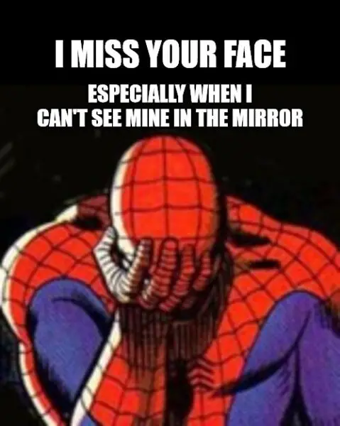 Sad Spiderman I Miss You Meme