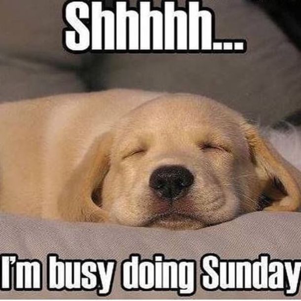 Shhhh. i am busy doing sunday