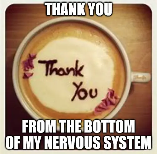 Thank you from the bottom of my nervous system