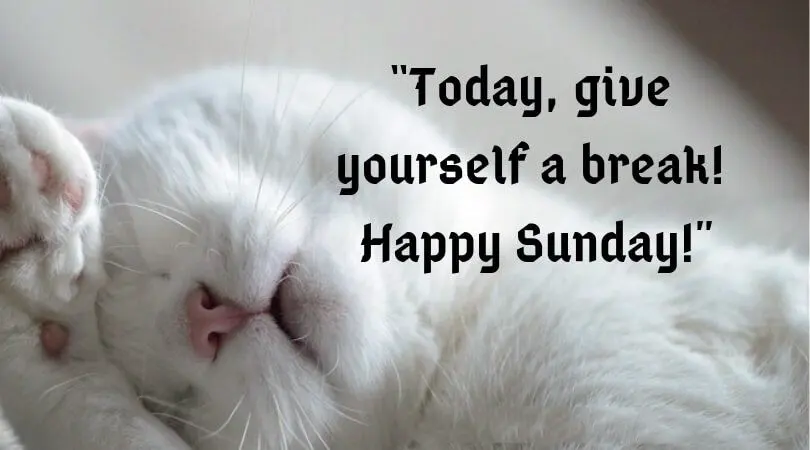 Today give yourself a break Happy Sunday