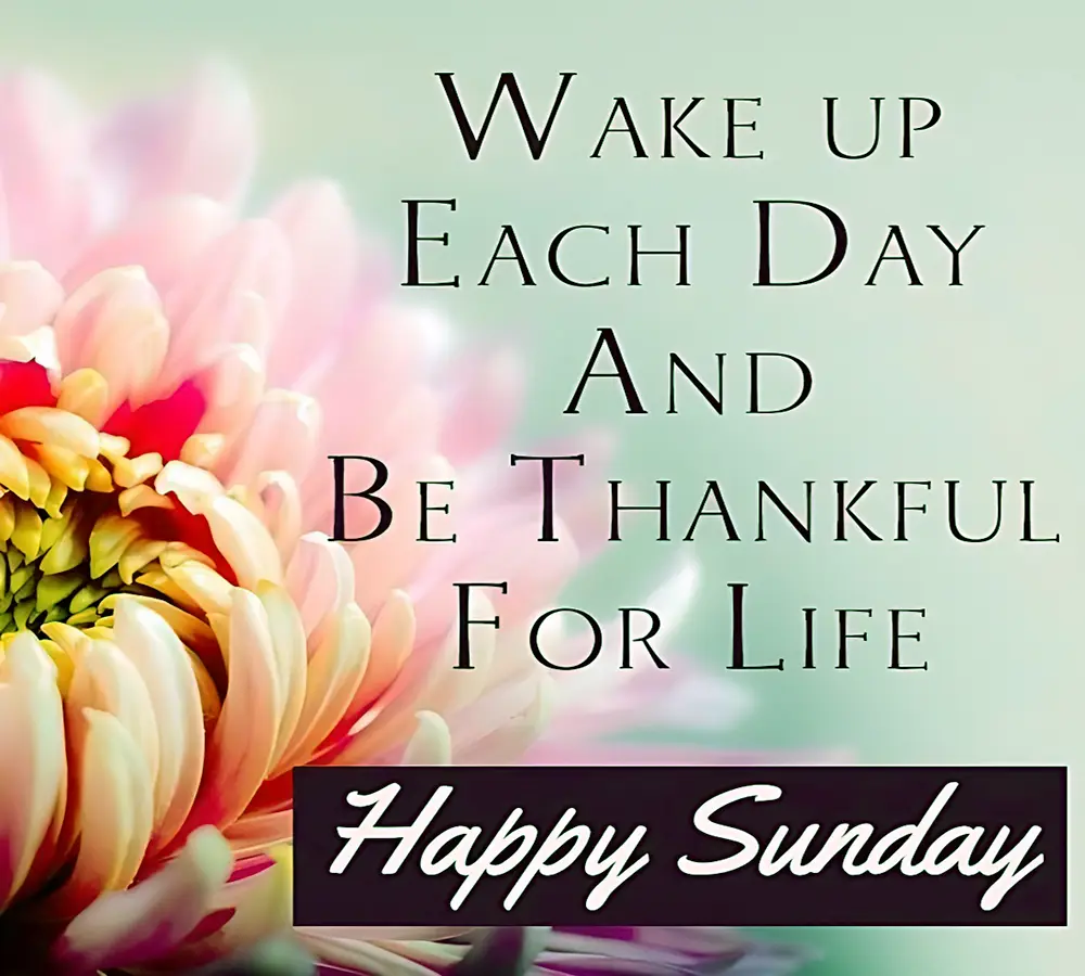 Wake up each day and be thankful for life happy sunday