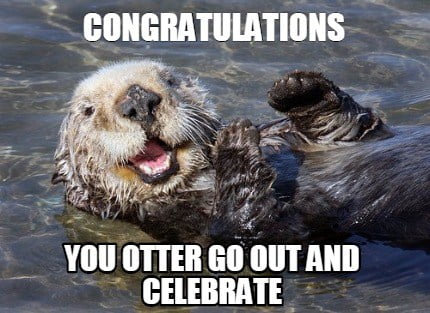 You Otter Go Out and Celebrate
