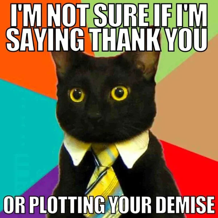 thank you cat meme