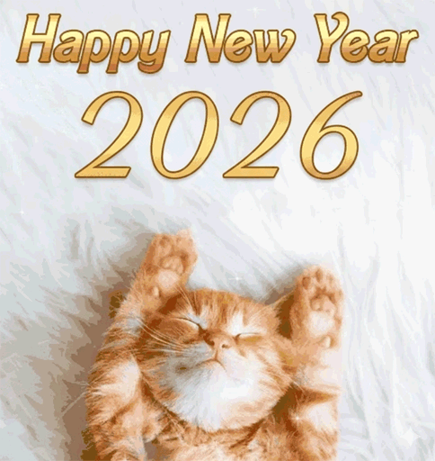 happy new year 2026 funny cat gif animated