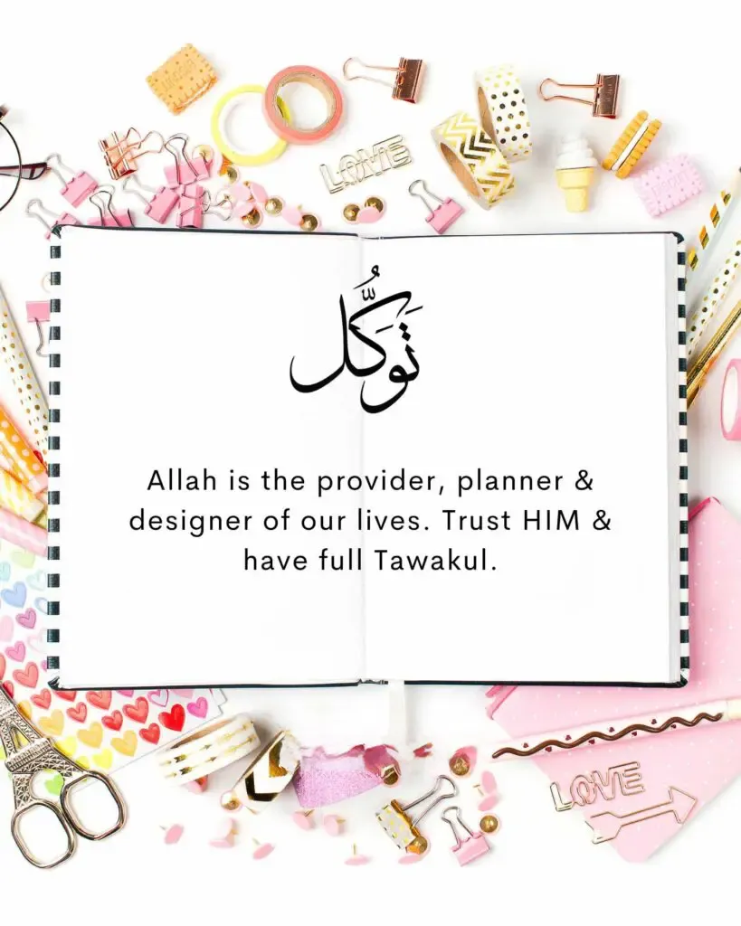 Allah is the provider planner designer of our lives. trust HIM have full tawakul