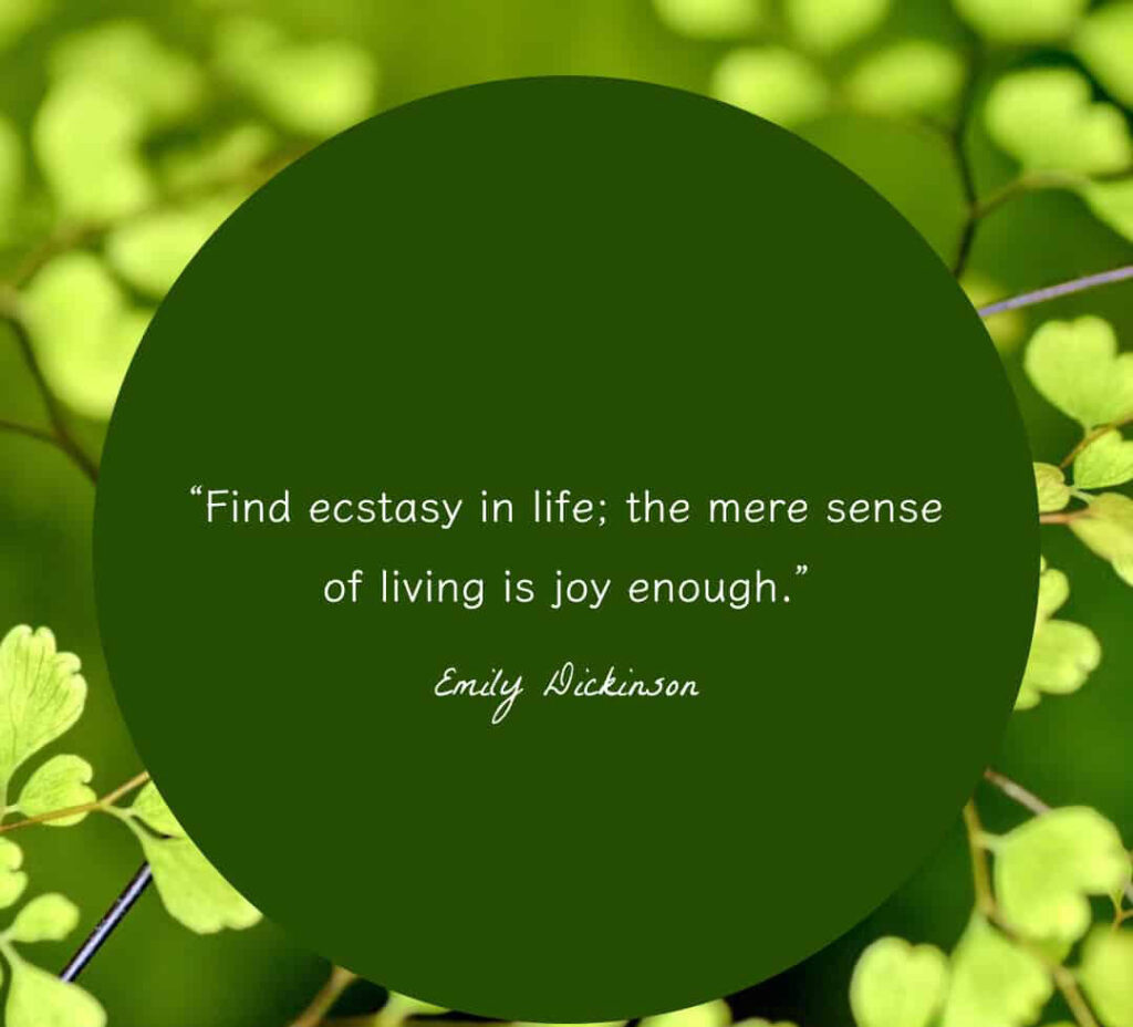 Find ecstasy in life the mere sense of living is joy enough