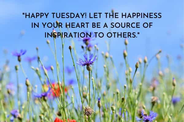 Happy Tuesday Let the happiness in your heart be a source of inspiration to others