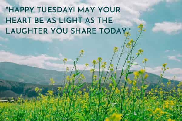 Happy Tuesday May your heart be as light as the laughter you share today