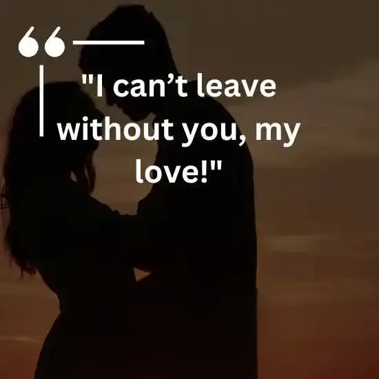 I cant leave without you my love
